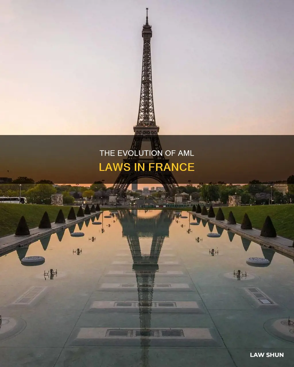 when was the first aml law published in france