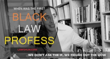The First Black Law Professor: A Historical Perspective