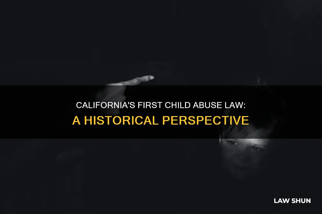 when was the first child abuse law enacted in ca