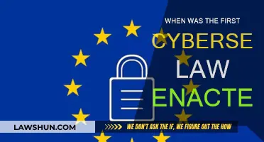 Cybersecurity Law: A Historical Perspective