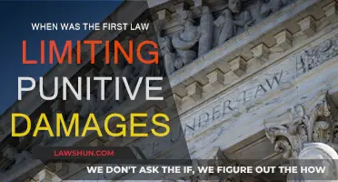 The First Law Limiting Punitive Damages: When and Why