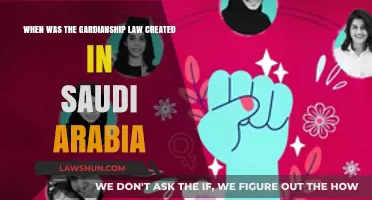 The Guardianship Law: Saudi Arabia's Strict Social Control