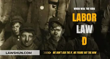 The History and Impact of the Kids Labor Law Enactment