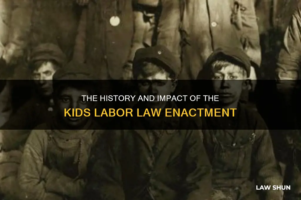 when was the kids labor law d