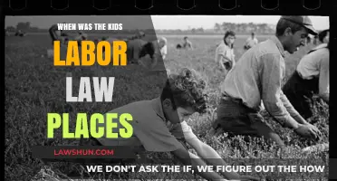 The Evolution of Child Labor Laws: A Historical Overview