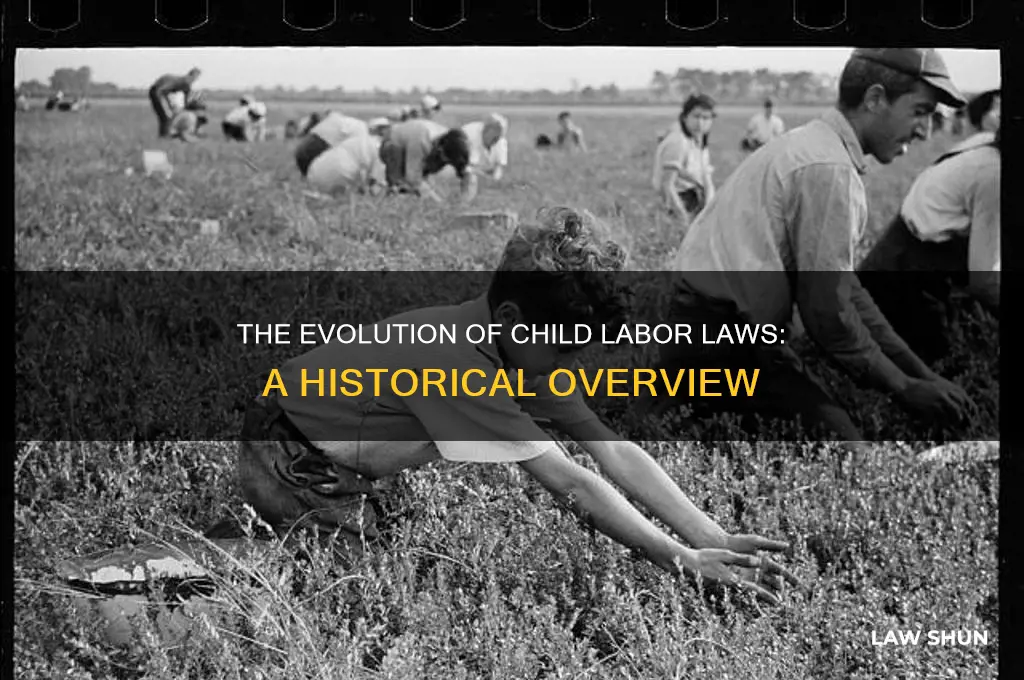 when was the kids labor law places