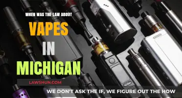 Michigan's Vape Laws: A Timeline of Regulations and Restrictions