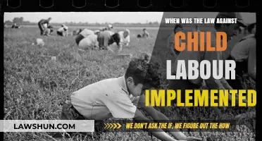 Ending Child Exploitation: The Implementation of Anti-Child Labor Laws
