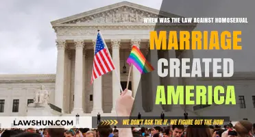 America's Anti-Gay Marriage Law: A Historical Perspective