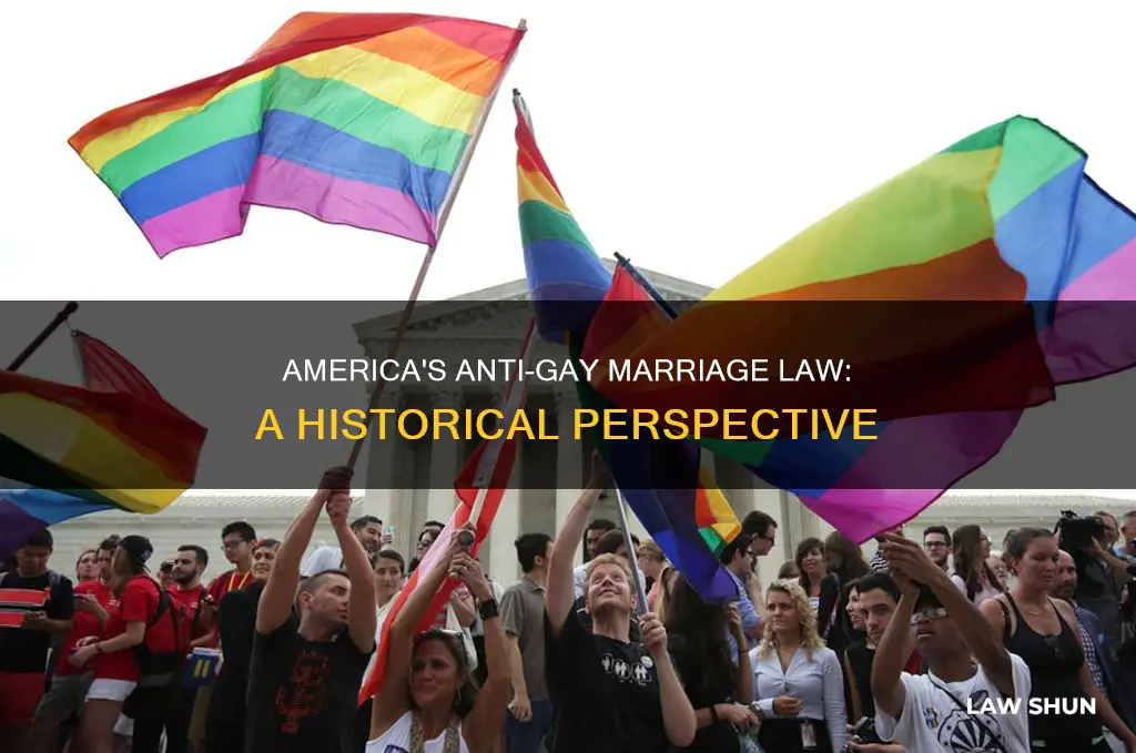 when was the law against homosexual marriage created america