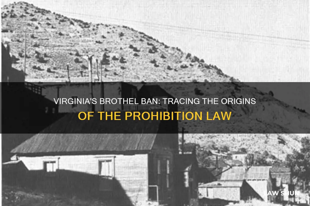 when was the law instated that prevents sbrothels in virginia