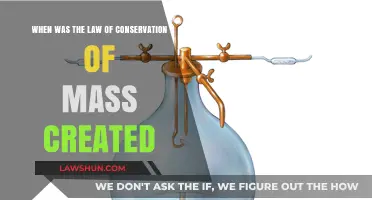 The Evolution of Mass Conservation Understanding