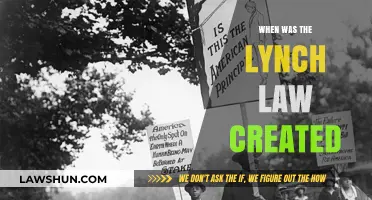 The Lynch Law: A Historical Injustice