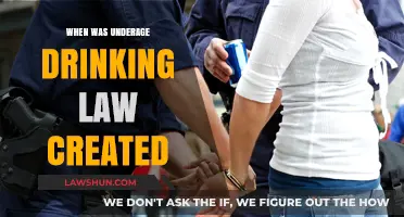 The Evolution of Underage Drinking Laws