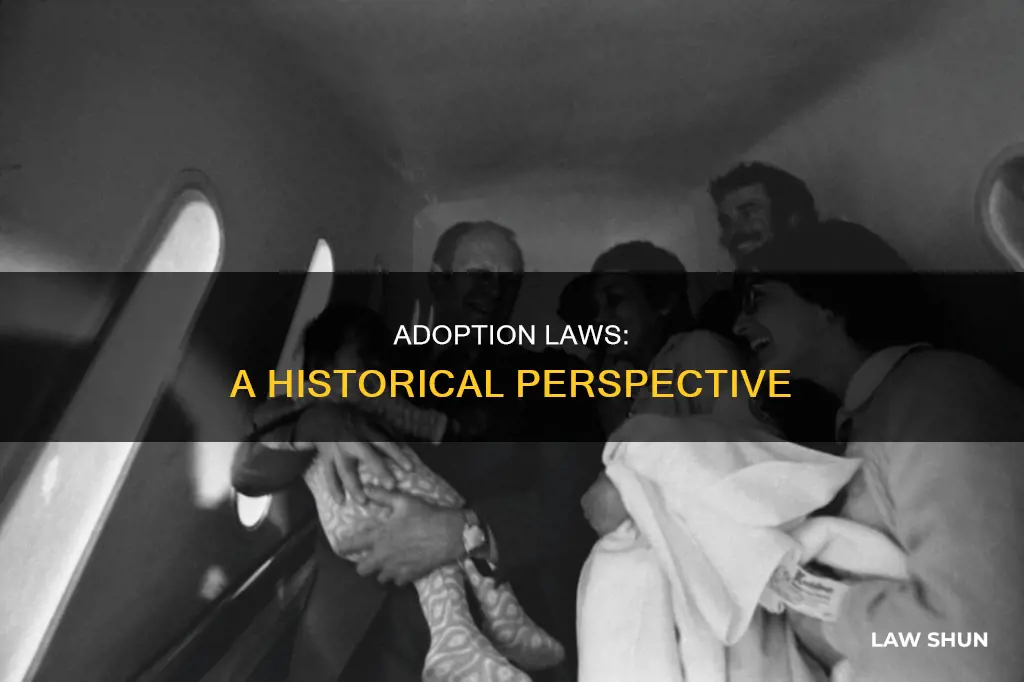 when were adoption laws created