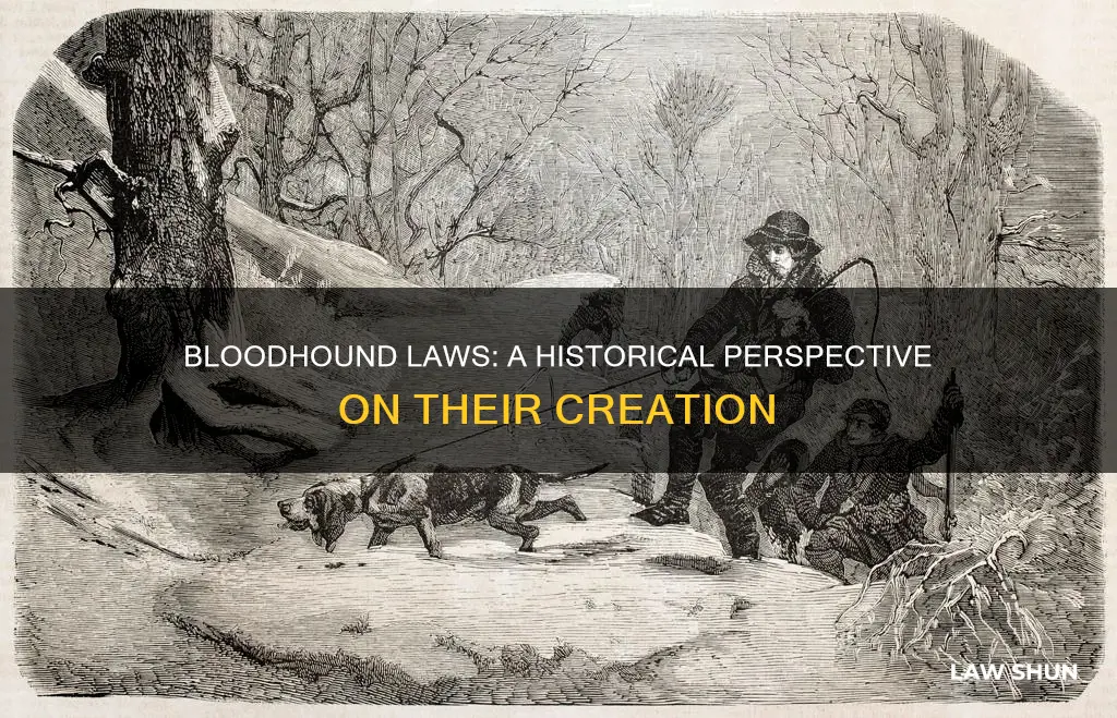 when were blood hound laws created