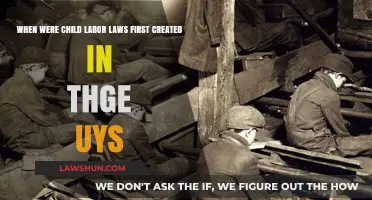 Child Labor Laws: A Historical Perspective