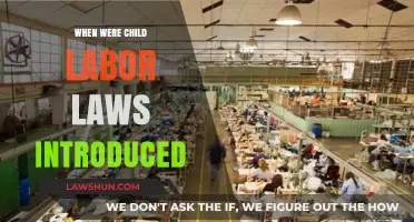 The Evolution of Child Labor Laws: A Historical Overview