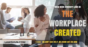 Diversity Laws: A Historical Workplace Perspective