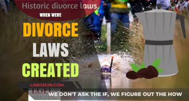 The History of Divorce Laws: When Were They Created?