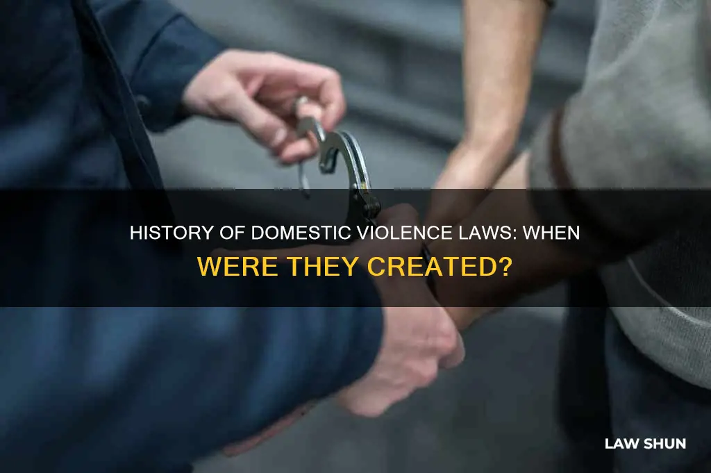 when were domestic violence laws created