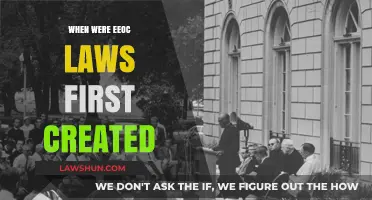 History of EEOC Laws: When Were They First Enacted?
