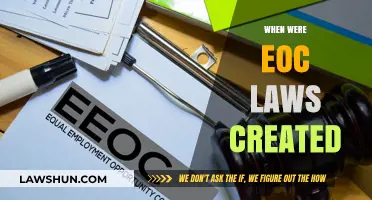 History of EOC Laws: When Were They Created?