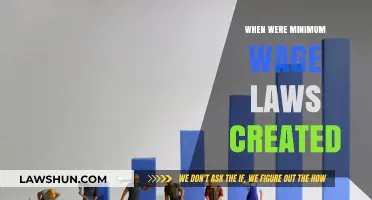 The Evolution of Minimum Wage Laws