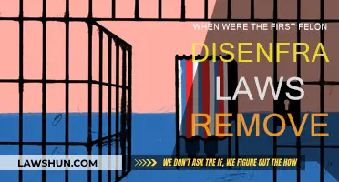 The History of Felon Disenfranchisement Laws and Their Repeal