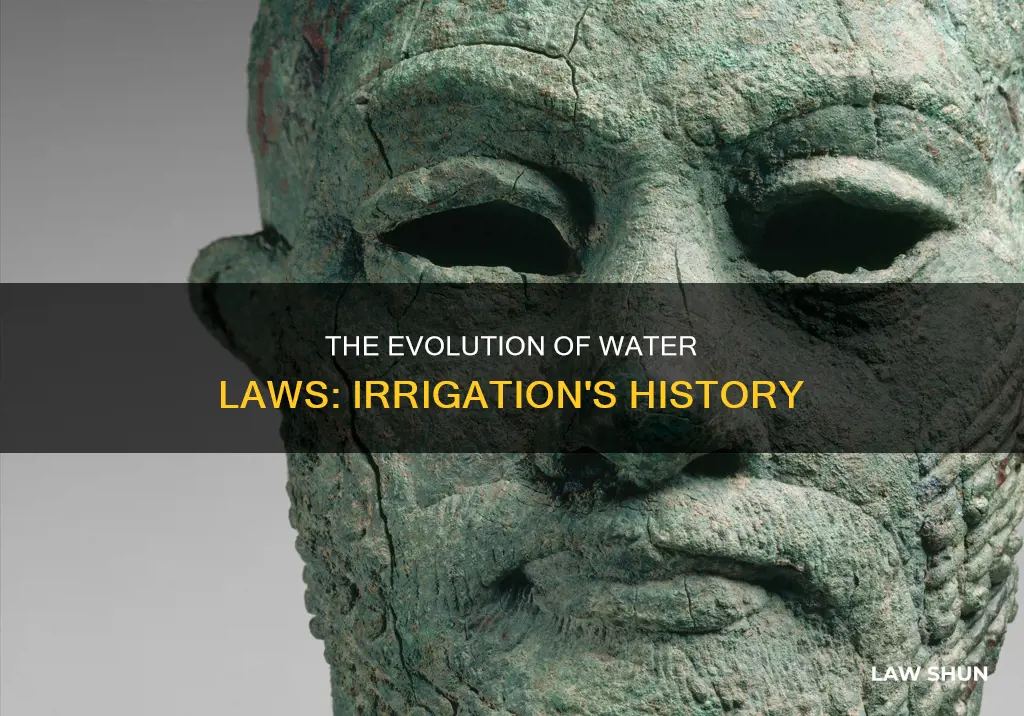 when were the first water laws related to irrigation developed