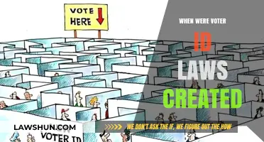 The History of Voter ID Laws in America