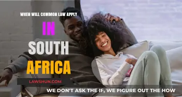 Common Law in South Africa: When Does It Apply?