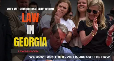 Constitutional Carry: Georgia's Law and Order Future?