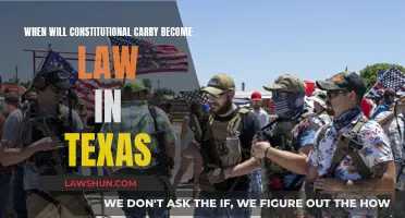 Texas Constitutional Carry: Law and Order?