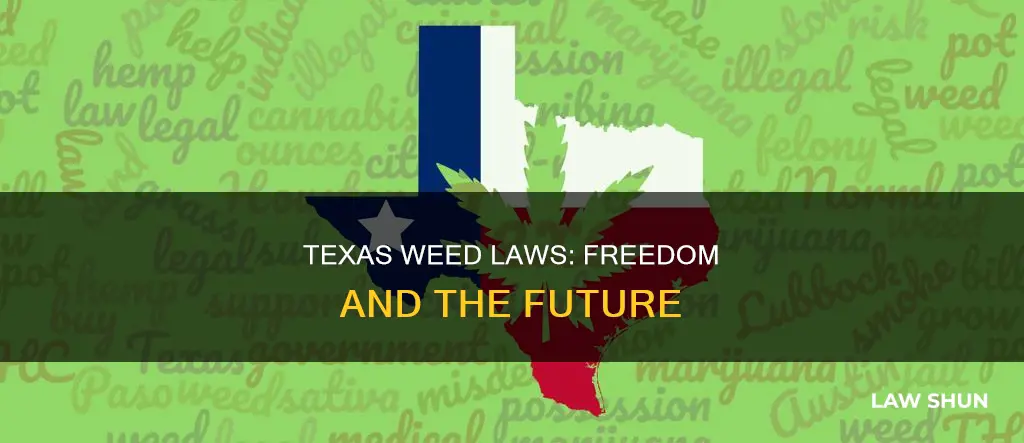 when will texas become free weed laws