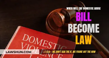 The Domestic Abuse Bill: Law Timeline and What's Next