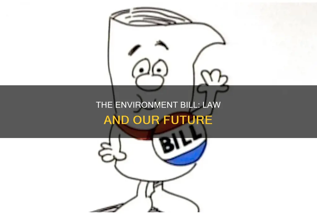 when will the environment bill become law