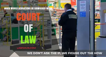 When Accusations Fall Short: Grounds for Dismissal in Court