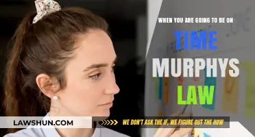 Murphy's Law and Timeliness: Why Being On Time Is a Challenge
