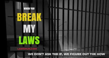 When You Break My Laws: Navigating the Consequences