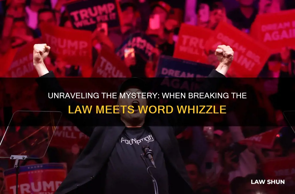 when you break the law word whizzle