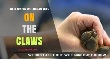 Laws on Claws: Uncovering the Legal Side of Pet Ownership