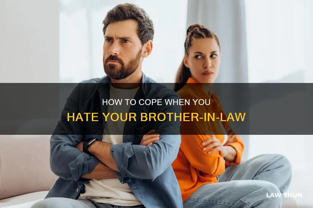 when you hate your brother in law