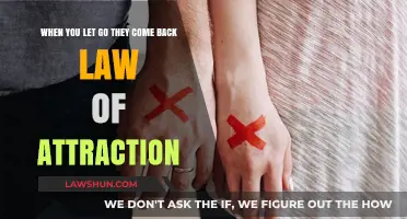Letting Go and Attracting Back: Mastering the Law of Attraction