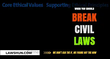 When Civil Laws Conflict: Navigating Ethical Dilemmas and Legal Choices