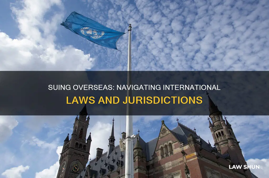 when you sue someone overseas who