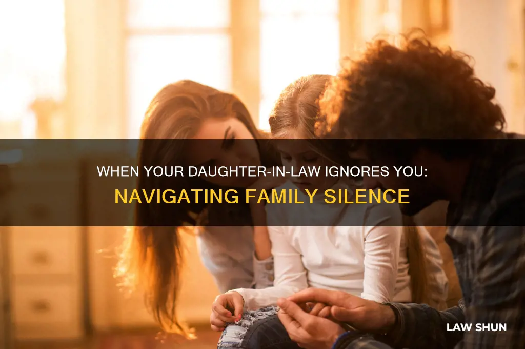 when your daughter in law ignoresyou