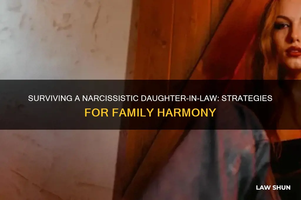 when your daughter in law is a narcissist