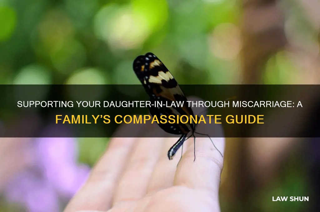 when your daughter in law miscarries