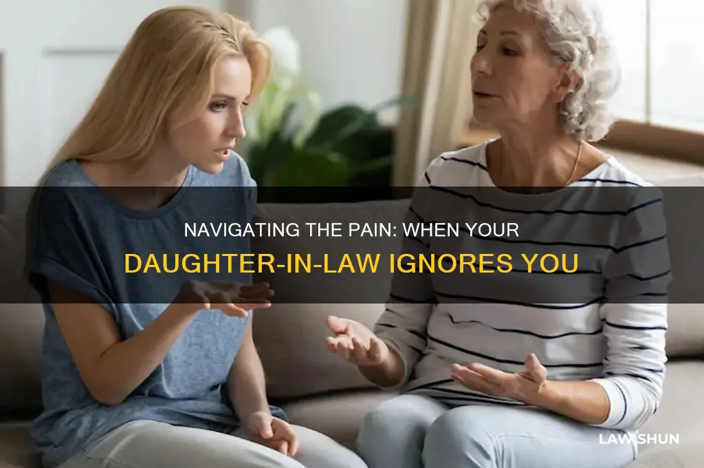 when your daughter in law snubs you